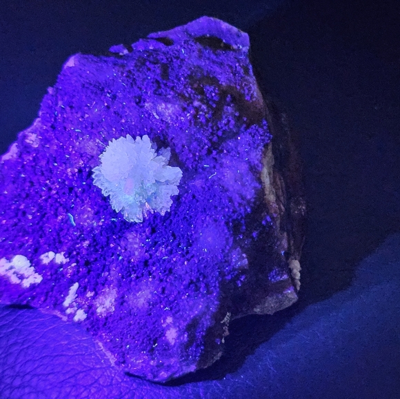 Purple creedite uv reactive - Picture 3 of 3